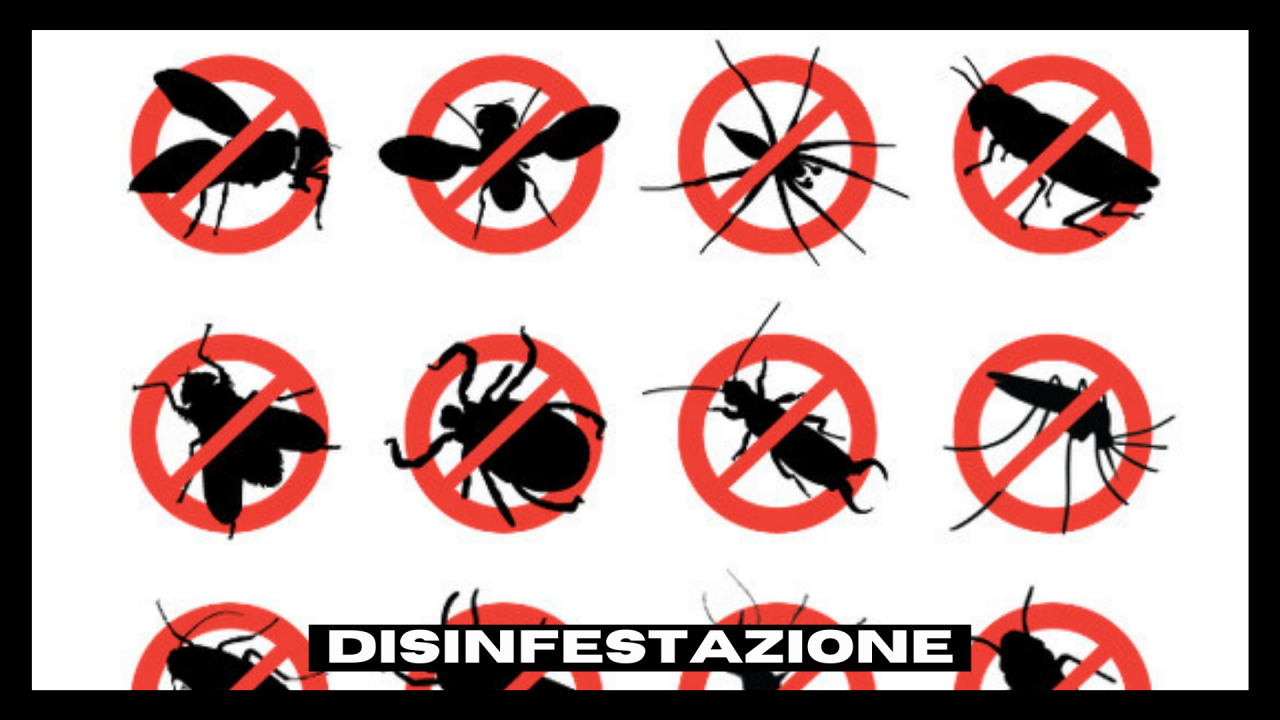 Disinfestazioni Roma, Latina, Frosinone, Viterbo e Rieti